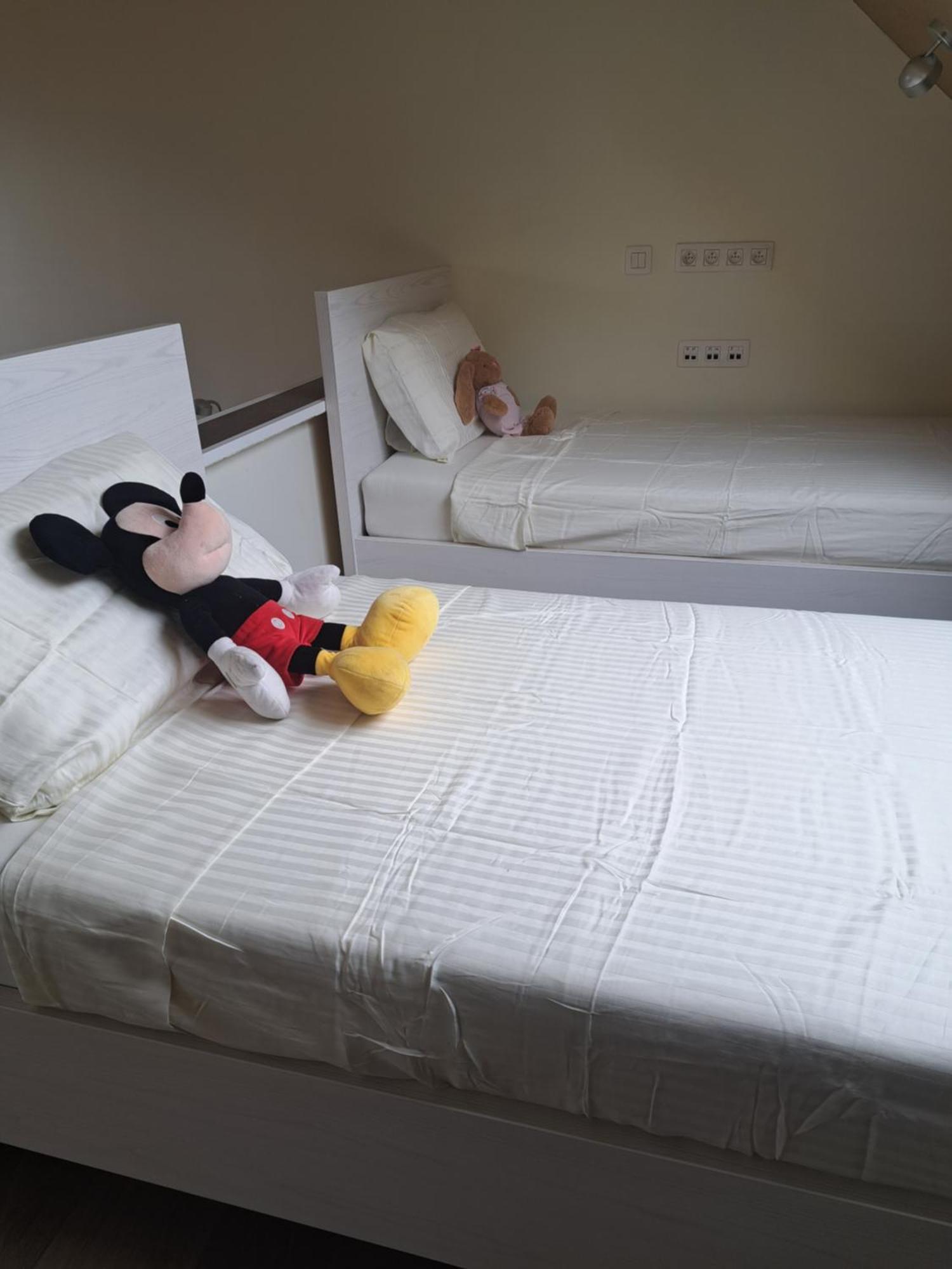 Chambres D'Hotes A 800M De Pairi Daiza Et Proche Du Shape-Otan Lens 外观 照片